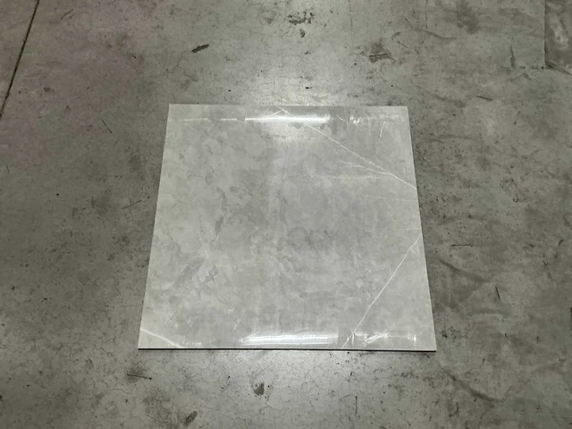 Alpas euro - 60 x 60 cm - vloertegel 30,24 m2 - afbeelding 3 van  5