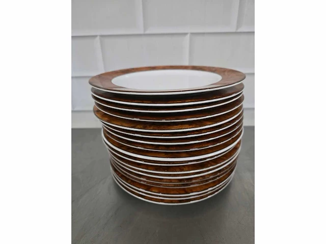Alpicon junon - porseleinen dinerbord (16x) - afbeelding 3 van  3
