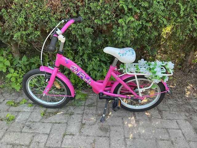 Alpina girl power meisjesfiets - afbeelding 2 van  9