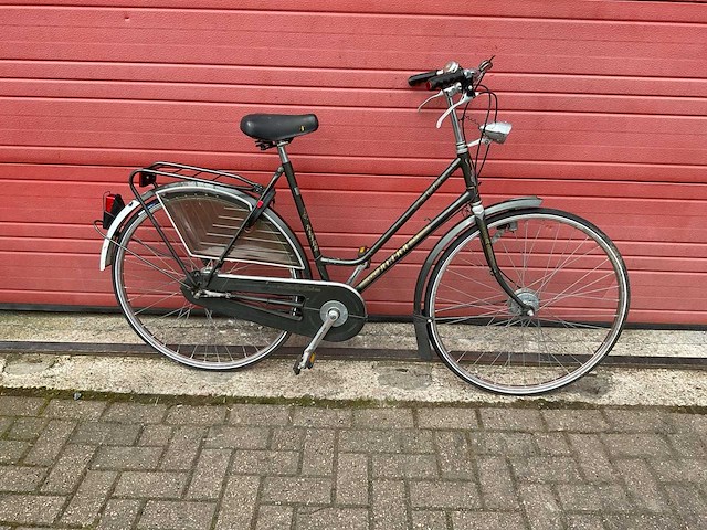 Altra aliva cum laude fiets - afbeelding 3 van  8