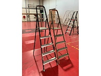 Altrex o.a. d805 aluminium uitzettrap (2x) - afbeelding 2 van  3