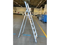 Altrex pro yara yeo 6 uitzettrap - afbeelding 2 van  4