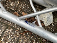 Aluminium trussopstelling - afbeelding 6 van  8