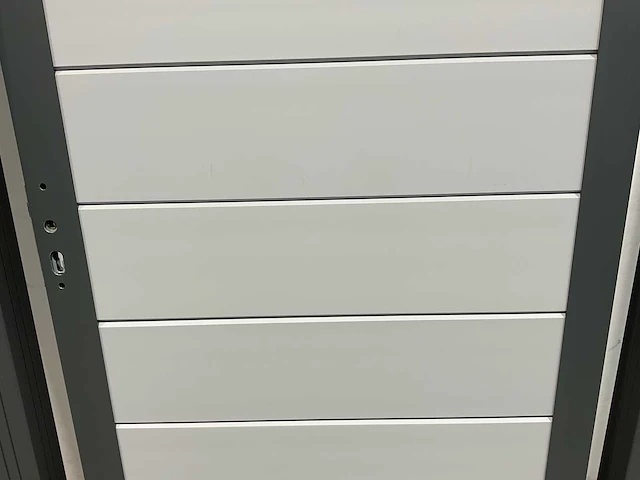Aluminium tuindeur - lichtgrijs - 183x93 cm (10x) - afbeelding 5 van  8