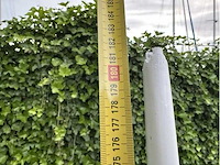 Aluminium zeilboot mast - afbeelding 3 van  11