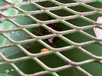 Amazone za-u1501 kunstmeststrooier - afbeelding 6 van  15