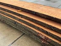 Amerikaans eiken (0,155 m3) - afbeelding 8 van  10