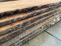 Amerikaans eiken (0,155 m3) - afbeelding 9 van  10