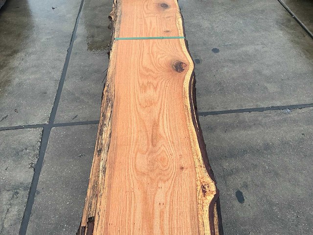 Amerikaans eiken (0,393 m3) - afbeelding 8 van  12