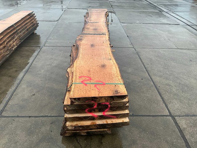 Amerikaans eiken (0,610 m3) - afbeelding 9 van  13