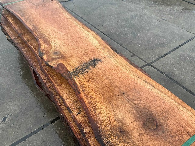 Amerikaans eiken (0,610 m3) - afbeelding 12 van  13