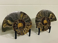 Ammoniet paar op metalen standaard - afbeelding 1 van  6