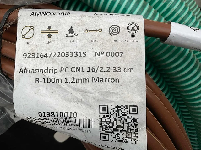 Amnondrip dripslang - afbeelding 4 van  5