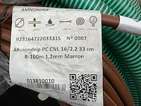 Amnondrip dripslang - afbeelding 4 van  5