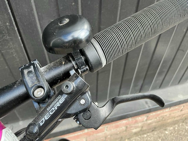 Ampler curt elektriche stadsfiets - afbeelding 7 van  10
