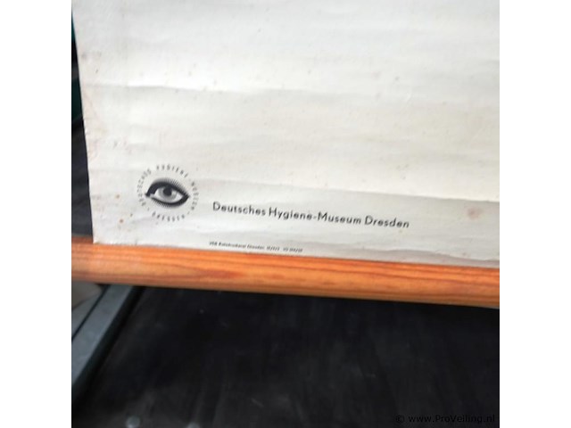 Anatomie kaart op papier - afbeelding 3 van  5