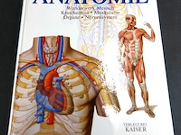 Anatomie - afbeelding 1 van  5