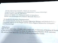 Anatomie - afbeelding 2 van  5