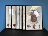 Anatomische posters in lijst (7x) - afbeelding 1 van  8