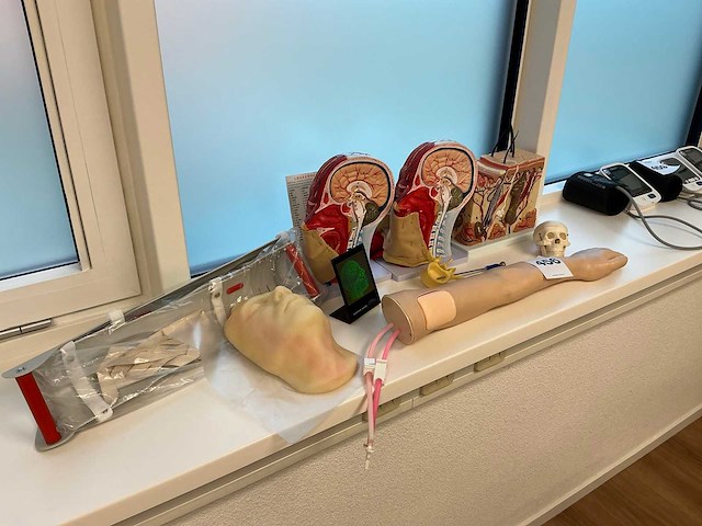 Anatomische sculpturen - afbeelding 1 van  7