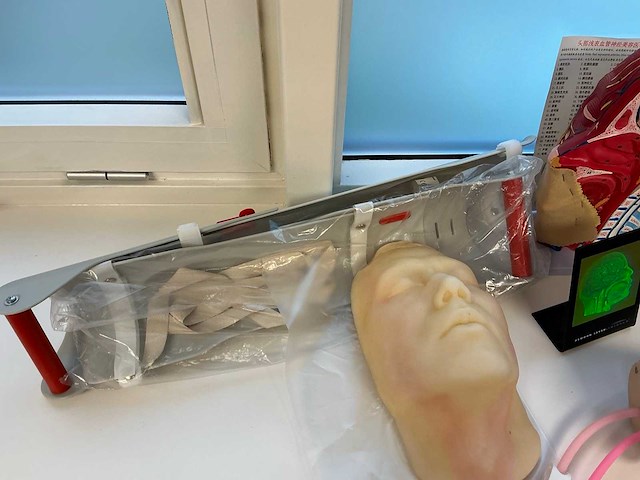 Anatomische sculpturen - afbeelding 2 van  7