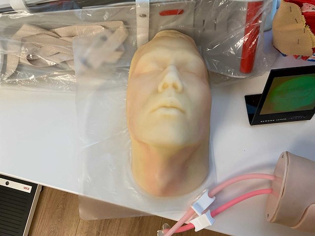 Anatomische sculpturen - afbeelding 3 van  7