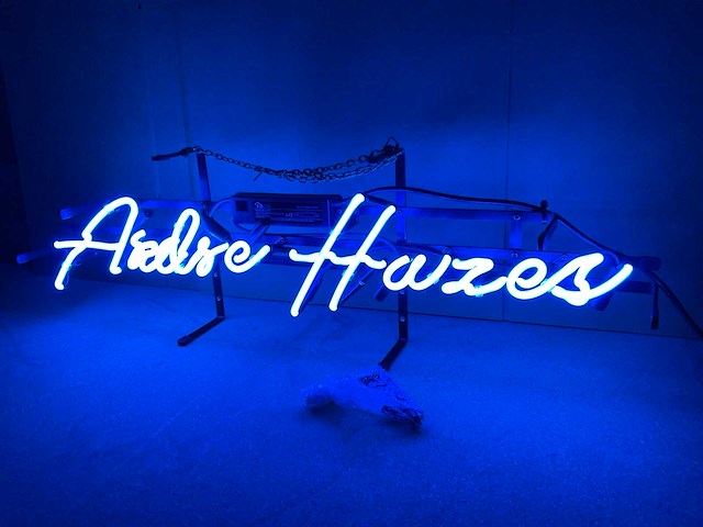 Andre hazes glas neon - afbeelding 1 van  3