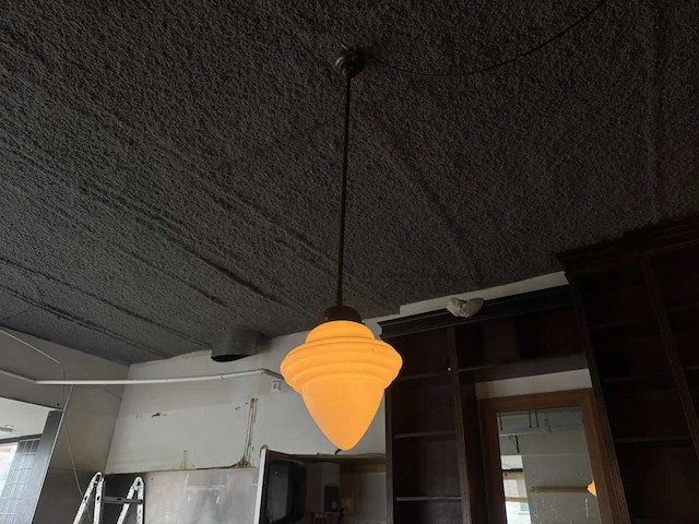 Andy thornton - hanglamp (2x) - afbeelding 5 van  6