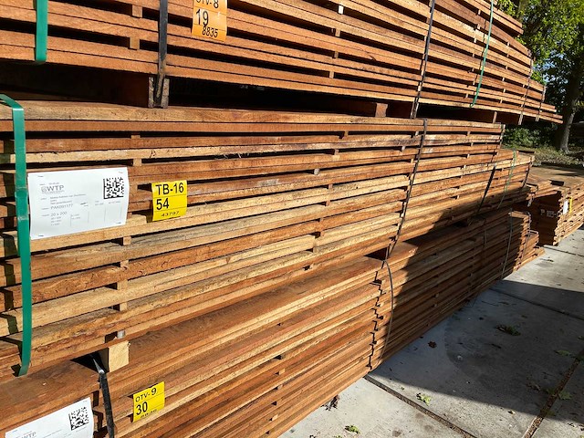 Angelim pedra beschoeiingplanken 3000-5500x200x20mm (100x) - afbeelding 1 van  3