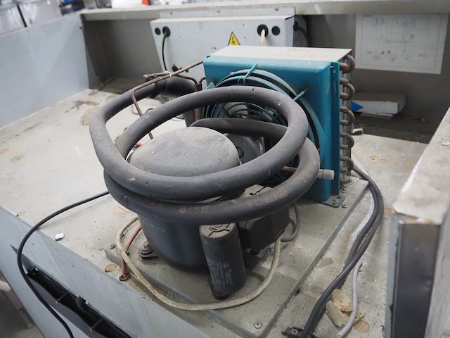 Angelo po - afbeelding 7 van  8