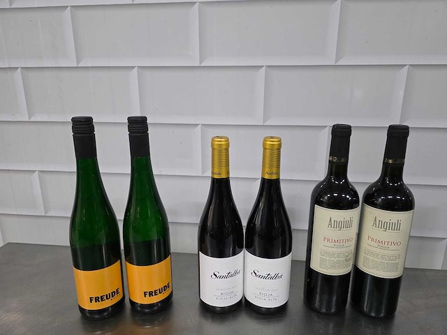 Anguili / freude, etc. wijn fles (12x) - afbeelding 2 van  5