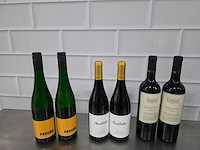 Anguili / freude, etc. wijn fles (12x) - afbeelding 2 van  5