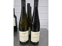 Anguili / freude, etc. wijn fles (12x) - afbeelding 3 van  5