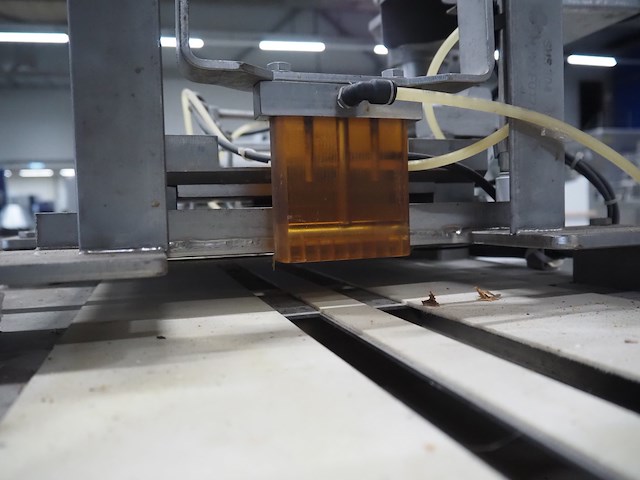 Anko - afbeelding 9 van  21