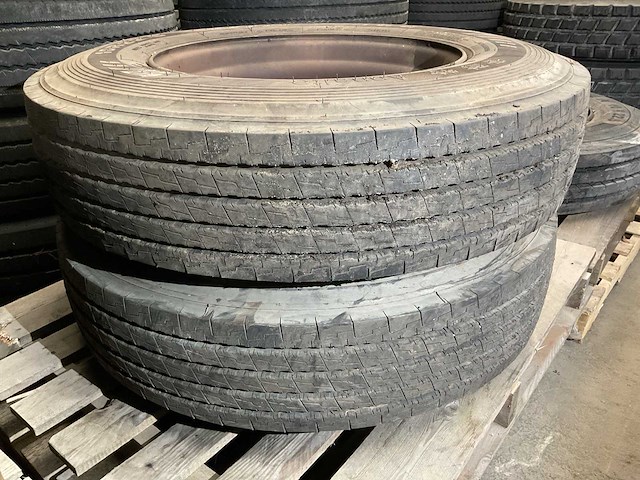 Annaite band (2x) - afbeelding 2 van  3