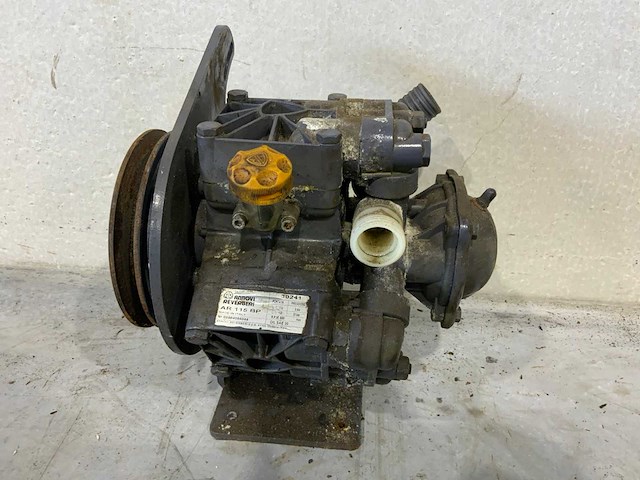 Annovi reverbi ar 115 bp veldspuit pomp - afbeelding 1 van  4