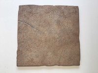 Antiava - terracotta - 40x40cm - 39,36m2 - vloertegel - afbeelding 1 van  6