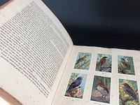 Antiek (1927) verkade plaatjesboek - afbeelding 3 van  5