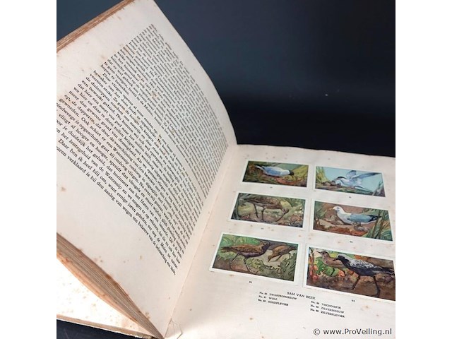 Antiek (1927) verkade plaatjesboek - afbeelding 4 van  5