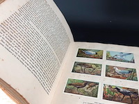 Antiek (1927) verkade plaatjesboek - afbeelding 4 van  5