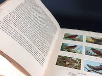 Antiek (1927) verkade plaatjesboek - afbeelding 5 van  5