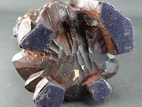 Antiek chinees rozenhouten snijwerk van shouxing, de god van de lang levensduur - afbeelding 5 van  5