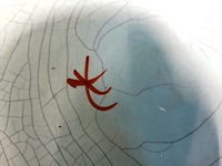 Antiek polychrome delfts aardewerk bord uit de 18e eeuw (vermoedelijk afkomstig van plateelbakkerij de paauw) - afbeelding 5 van  5