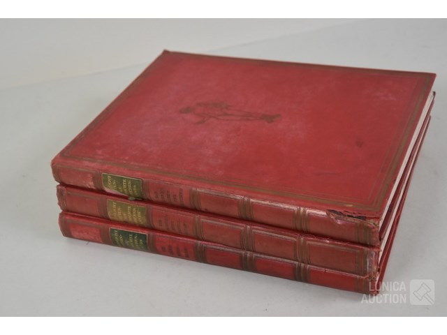 Antieke boeken - afbeelding 7 van  13