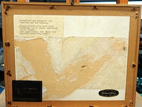 Antieke druk - afbeelding 4 van  5