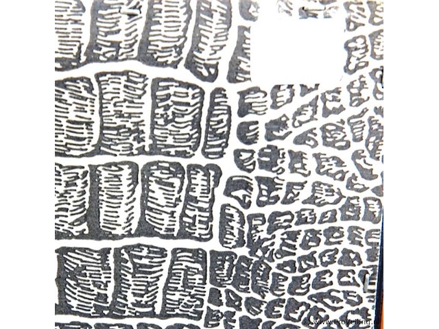 Antieke gravure de 's hertogen toren in het land van cuijk - afbeelding 5 van  5