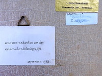 Antieke gravure het stadhuis van rotterdam - afbeelding 5 van  5