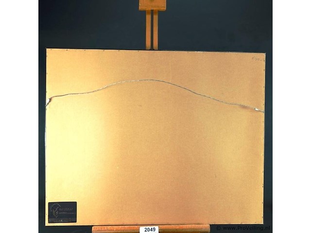 Antieke ingekleurde ets - afbeelding 4 van  5