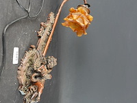 Antieke italiaanse wandlamp met putti-figuur en een amberkleurige glazen kap in bloemvorm - afbeelding 1 van  5