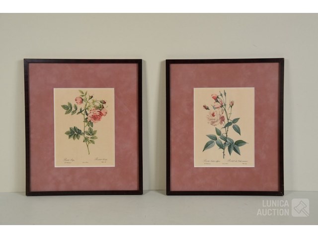 Antieke prints/zeefdrukken - afbeelding 2 van  9